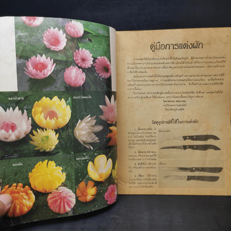 คู่มือการแต่งผัก - อาจารย์โสภาพรรณ อมตะเดชะ รูปที่ 8