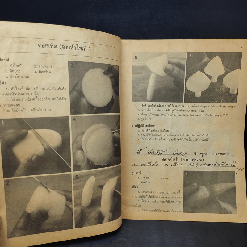 คู่มือการแต่งผัก - อาจารย์โสภาพรรณ อมตะเดชะ รูปที่ 9