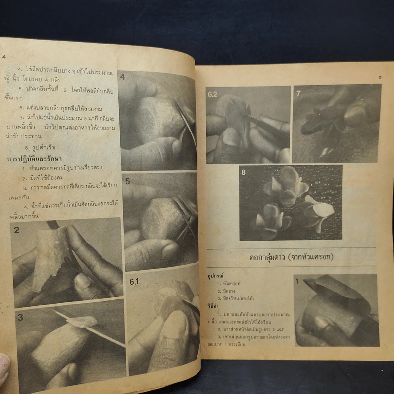 คู่มือการแต่งผัก - อาจารย์โสภาพรรณ อมตะเดชะ รูปที่ 10