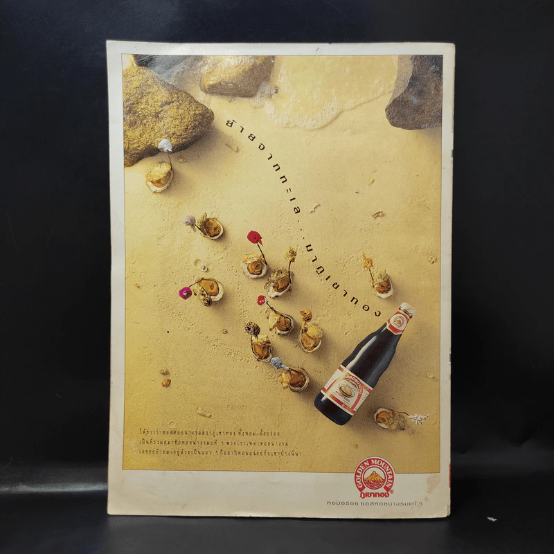 งานฝีมือ ฉบับที่ 164 ม.ค.2541 แอน สิเรียม รูปที่ 2