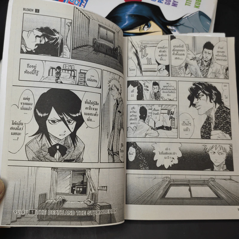 BLEACH เทพมรณะ เล่ม 1-5 รูปที่ 11