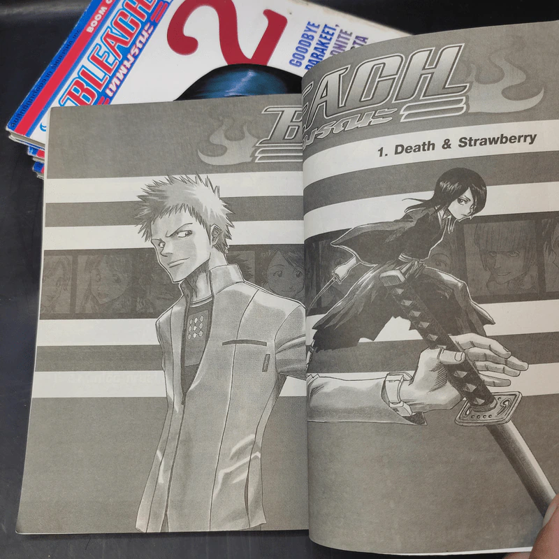 BLEACH เทพมรณะ เล่ม 1-5 รูปที่ 9