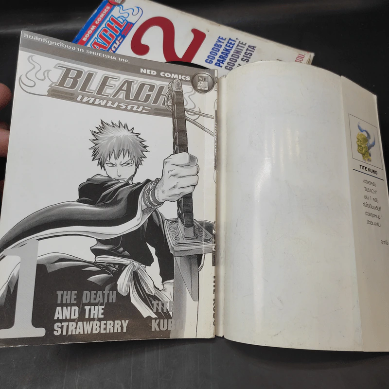 BLEACH เทพมรณะ เล่ม 1-5 รูปที่ 8