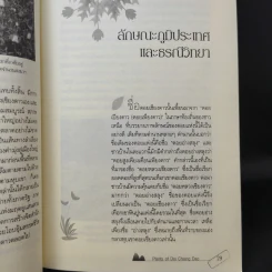 สูงเสียดดอยพรรณไม้งาม - ปิยะ โมคมุล รูปที่ 17