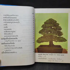 ตำราปลูกเลี้ยงและขยายพันธุ์ บอนไซ - คณะอาจารย์วิทยาลัยเกษตรศาสตร์ รูปที่ 13