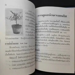 ตำราปลูกเลี้ยงและขยายพันธุ์ บอนไซ - คณะอาจารย์วิทยาลัยเกษตรศาสตร์ รูปที่ 15