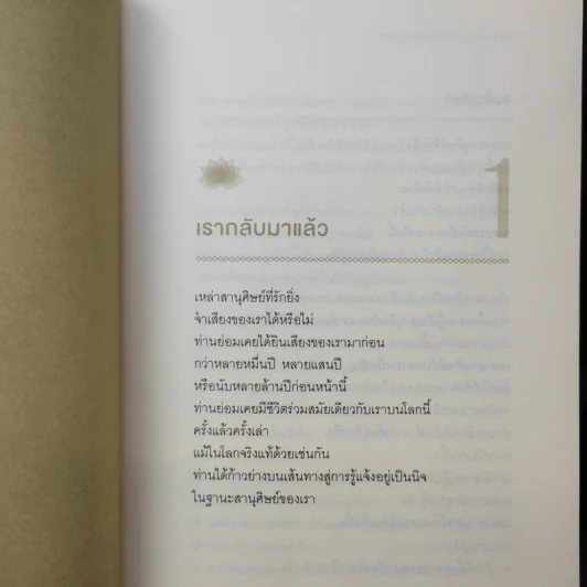 พระพุทธองค์กลับมาแล้ว - ริวโฮ โอคาวา รูปที่ 11