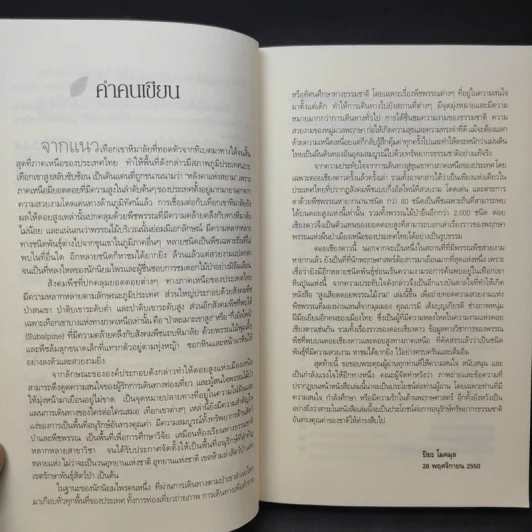 สูงเสียดดอยพรรณไม้งาม - ปิยะ โมคมุล รูปที่ 11