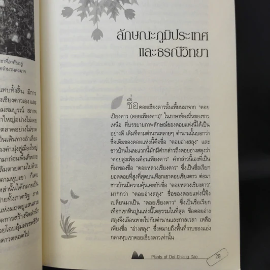 สูงเสียดดอยพรรณไม้งาม - ปิยะ โมคมุล รูปที่ 17