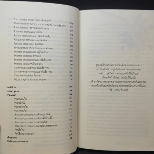 สูงเสียดดอยพรรณไม้งาม - ปิยะ โมคมุล รูปที่ 14