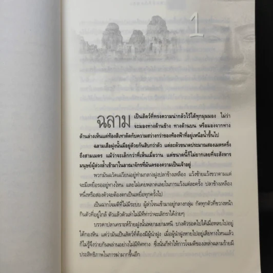 สมบัติกัมพุช ตอน ทะเลเลือด - พันธุ์ พงศ์นาค รูปที่ 12