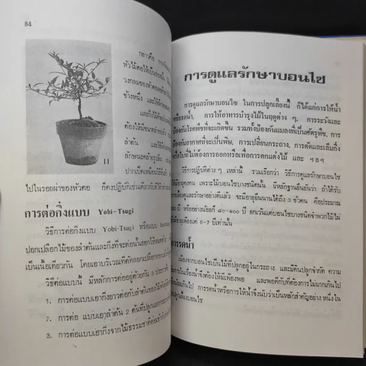 ตำราปลูกเลี้ยงและขยายพันธุ์ บอนไซ - คณะอาจารย์วิทยาลัยเกษตรศาสตร์ รูปที่ 15