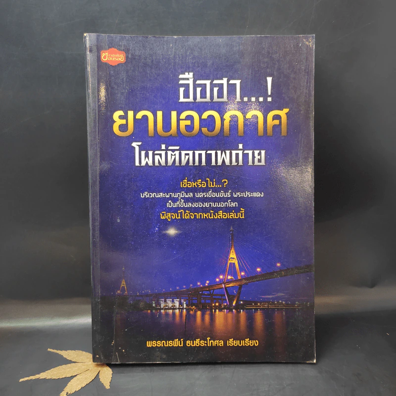 ฮือฮา...! ยานอวกาศโผล่ติดภาพถ่าย - พรรณรพีน์ ธนธีระโกศล รูปที่ 1