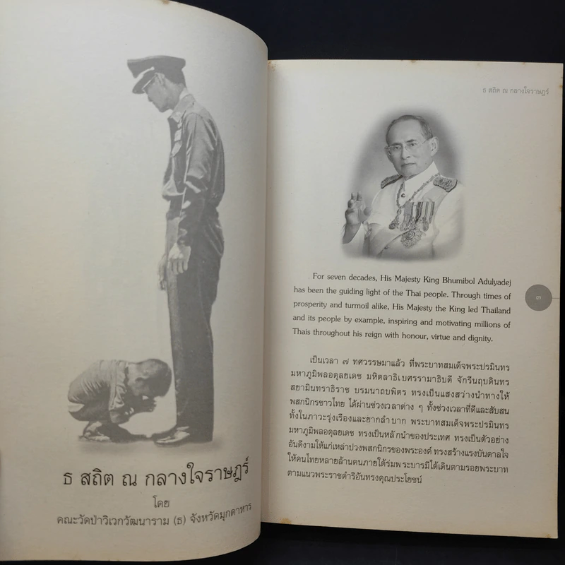 ธ สถิต ณ กลางใจราษฎร์ รูปที่ 8