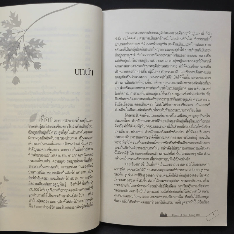 สูงเสียดดอยพรรณไม้งาม - ปิยะ โมคมุล รูปที่ 15