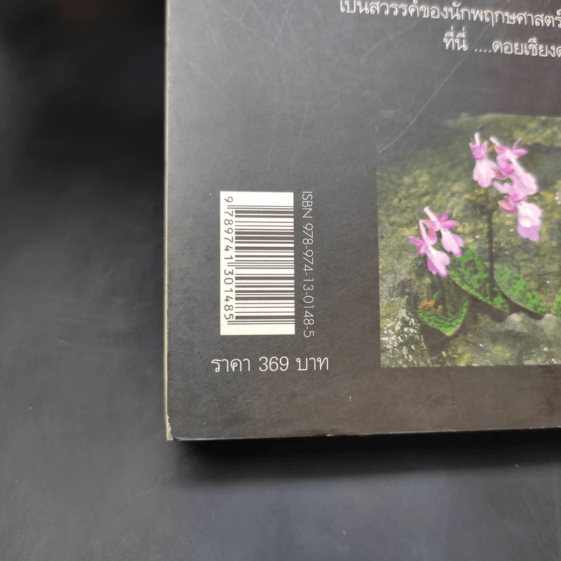 สูงเสียดดอยพรรณไม้งาม - ปิยะ โมคมุล รูปที่ 21