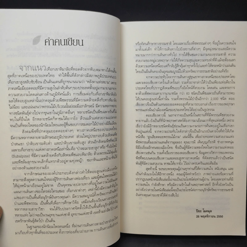 สูงเสียดดอยพรรณไม้งาม - ปิยะ โมคมุล รูปที่ 11
