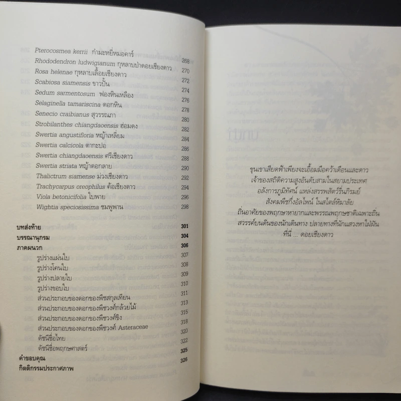 สูงเสียดดอยพรรณไม้งาม - ปิยะ โมคมุล รูปที่ 14