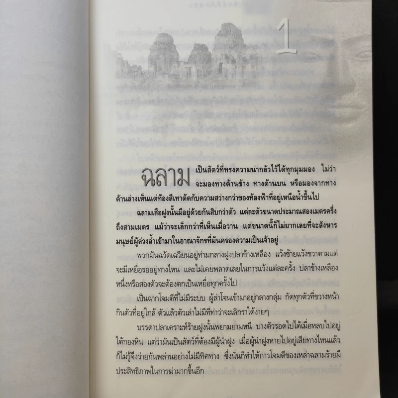 สมบัติกัมพุช ตอน ทะเลเลือด - พันธุ์ พงศ์นาค รูปที่ 12
