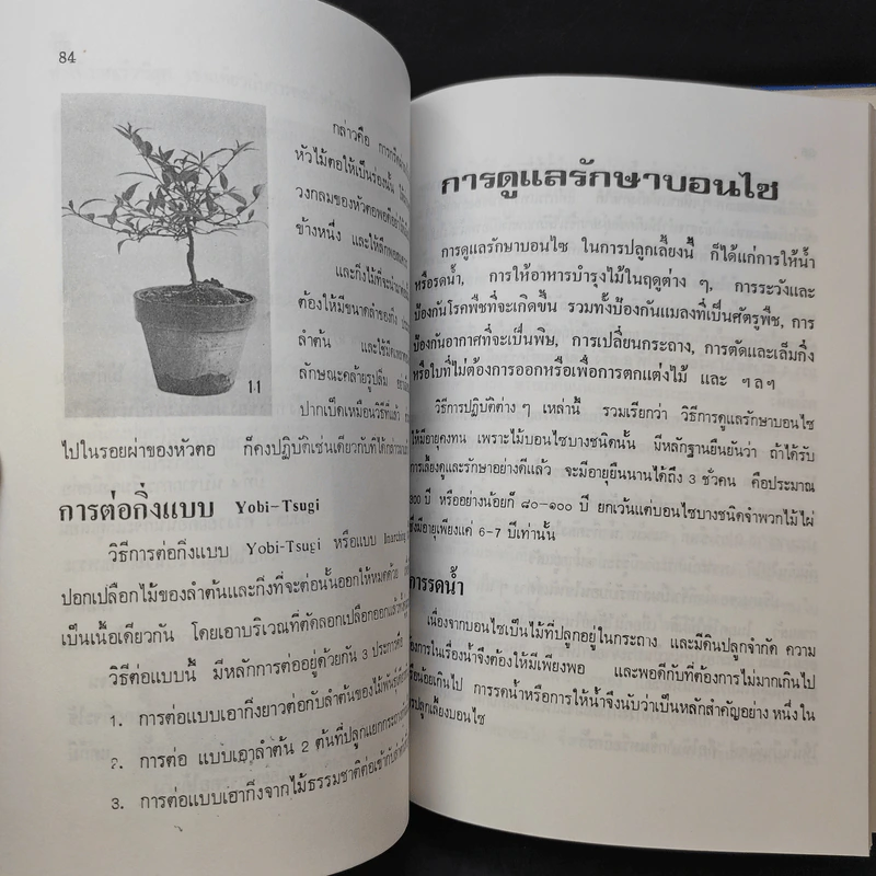 ตำราปลูกเลี้ยงและขยายพันธุ์ บอนไซ - คณะอาจารย์วิทยาลัยเกษตรศาสตร์ รูปที่ 15