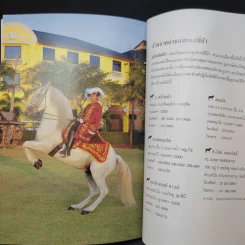 หัดขี่ม้ากับชัญญา ศรีเฟื่องฟุ้ง รูปที่ 13