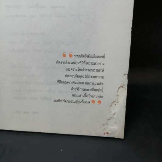 ซอยเท้าเข้าญี่ปุ่น รินชาจิบสาเกเห่กวีไฮกุ เกี้ยว-เกล้า พิมพการ เที่ยวญี่ปุ่นกับกวีซีไรท์ เนาวรัตน์ พงษ์ไพบูลย์ รูปที่ 9