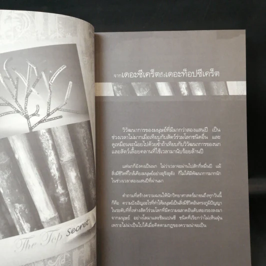 The Top Secret เดอะท็อปซีเคร็ต - ทันตแพทย์สม สุจีรา รูปที่ 13