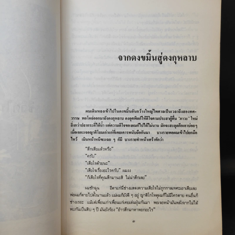 สองทศวรรษในดงขมิ้น - ไต้ ตามทาง รูปที่ 12