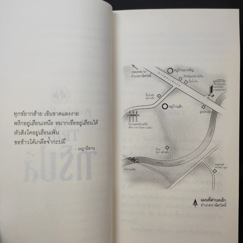 The Trips ทริปส์ - วิสิทธิ์ โพธิวัฒน์ รูปที่ 9