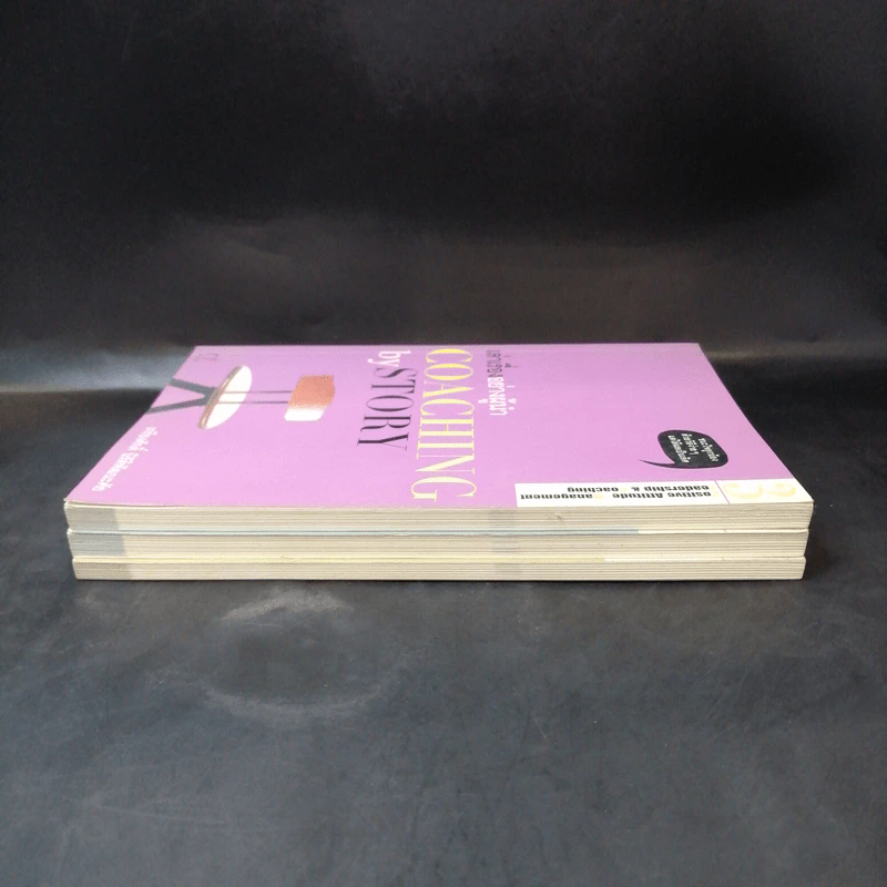 เล่าเรื่องอย่างผู้นำ Coaching by Story เล่ม 1-3 รูปที่ 9