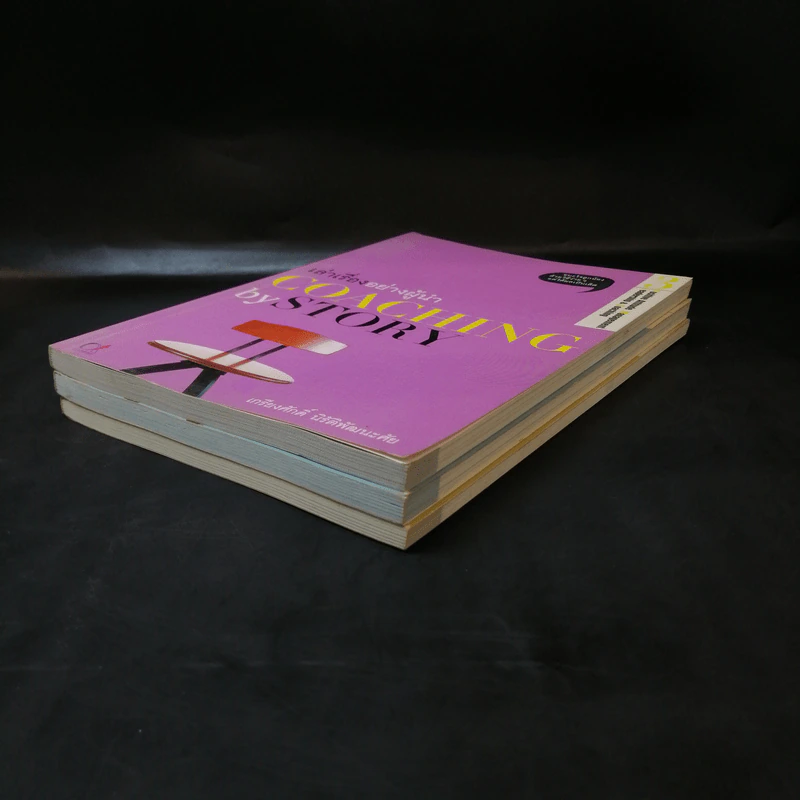 เล่าเรื่องอย่างผู้นำ Coaching by Story เล่ม 1-3 รูปที่ 11
