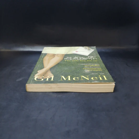 หนึ่งนี้มีแต่รัก The Only Boy for Me - Gil McNeil รูปที่ 4