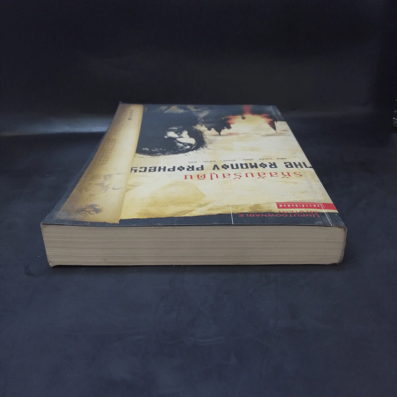 รหัสลับรัสปูติน The Romanov Prophecy รูปที่ 6