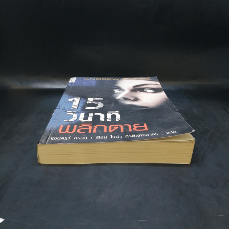 15 วินาทีพลิกตาย - Andrew Gross รูปที่ 4