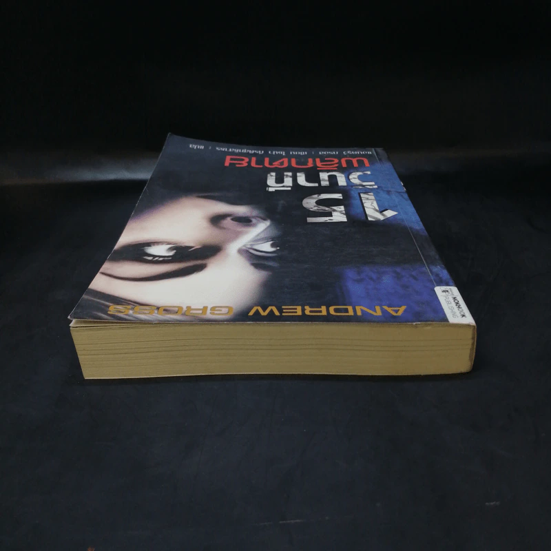 15 วินาทีพลิกตาย - Andrew Gross รูปที่ 6