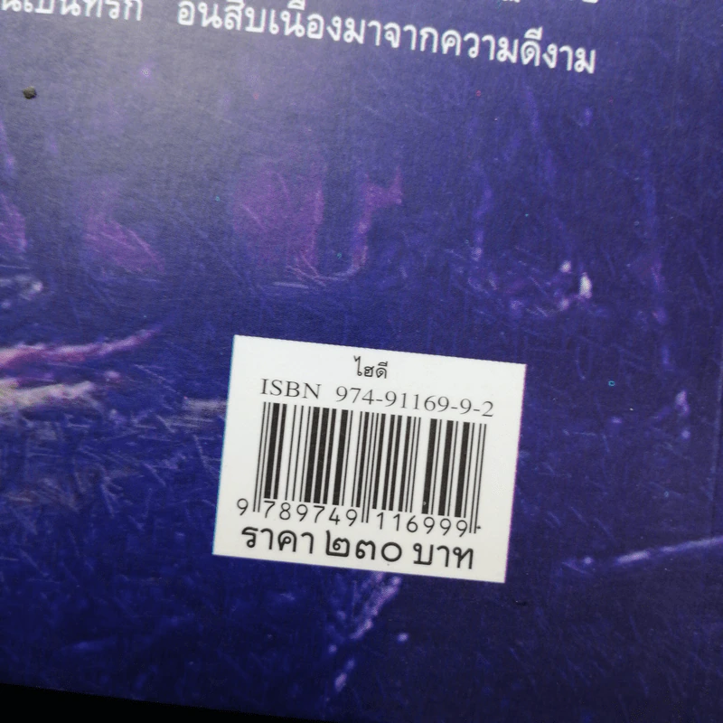 ไฮดี้ Heidi - โยฮันนา ซปือรี รูปที่ 14
