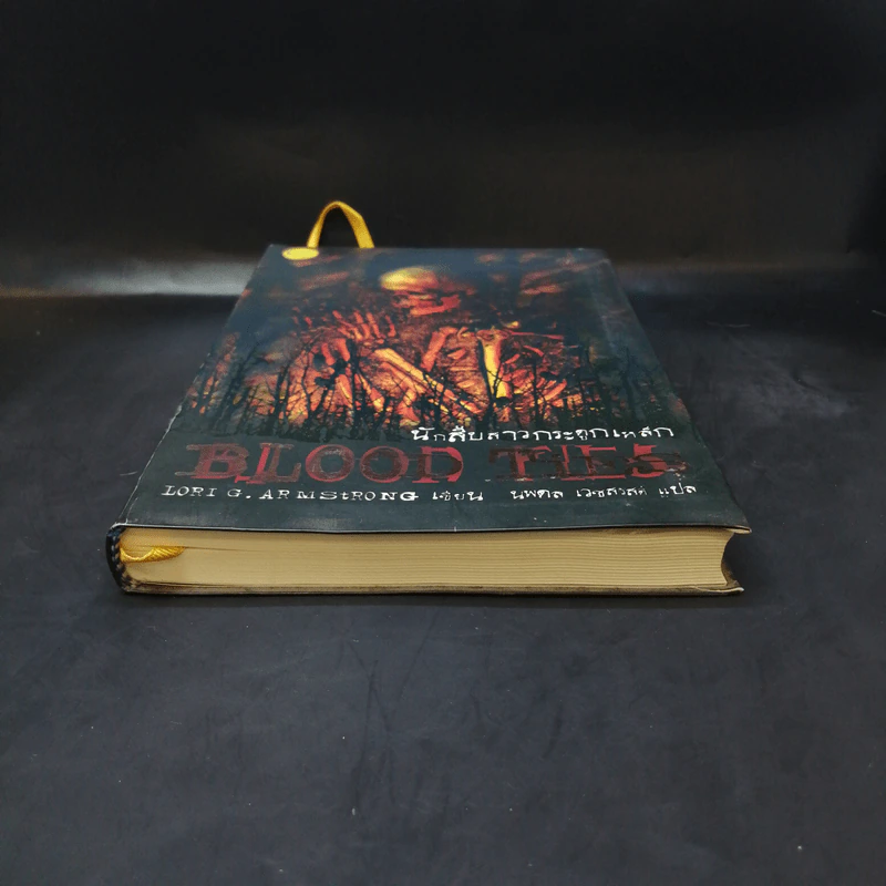 นักสืบสาวกระดูกเหล็ก Blood Ties - Lori G. Armstrong เขียน, นพดล เวชสวัสดิ์ แปล รูปที่ 4