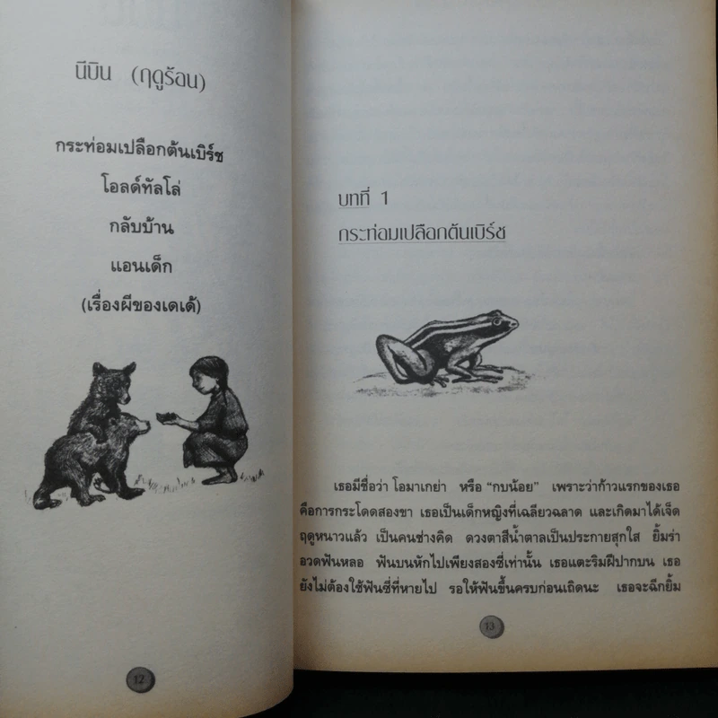 กระท่อมเปลือกไม้ The Birchbark House - Louise Erdrich รูปที่ 13