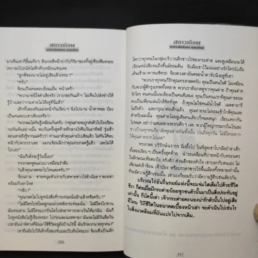 สกาวเดือน - พนมเทียน รูปที่ 12