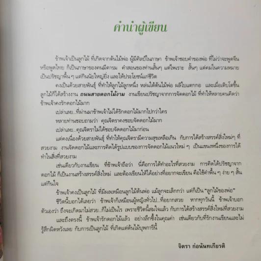 ถนนสายดอกไม้งาม - จิตรา ก่อนันทเกียรติ รูปที่ 11