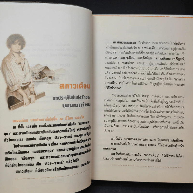 สกาวเดือน - พนมเทียน รูปที่ 9