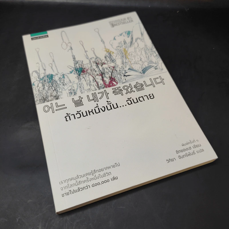 ถ้าวันหนึ่งนั้น ฉันตาย - อีกยองเฮ รูปที่ 7