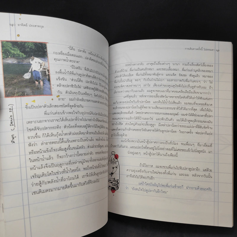 การเดินทางครั้งนี้ไม่ธรรมดา - อาทิตย์ ประสาทกุล รูปที่ 12
