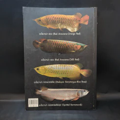 สายพันธุ์และการเพาะเลี้ยง Arowana ปลามังกร - ชลสิทธิ์ รูปที่ 2
