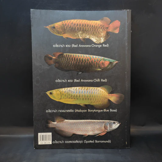 สายพันธุ์และการเพาะเลี้ยง Arowana ปลามังกร - ชลสิทธิ์ รูปที่ 2