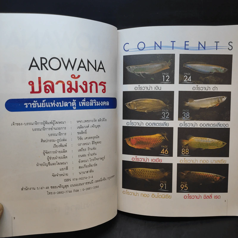 สายพันธุ์และการเพาะเลี้ยง Arowana ปลามังกร - ชลสิทธิ์ รูปที่ 9