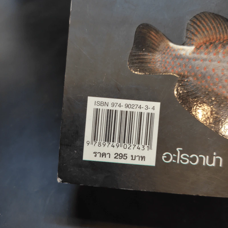 สายพันธุ์และการเพาะเลี้ยง Arowana ปลามังกร - ชลสิทธิ์ รูปที่ 13