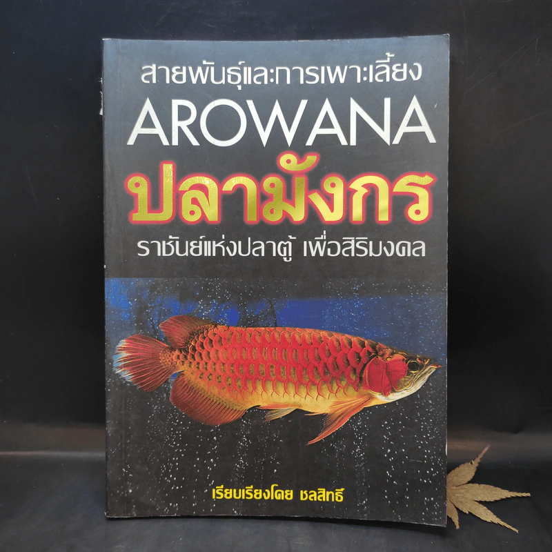 สายพันธุ์และการเพาะเลี้ยง Arowana ปลามังกร - ชลสิทธิ์ รูปที่ 1