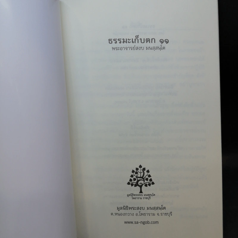 เทศน์เช้า ธรรมะเก็บตก 11 + สมมุติว่าจิต รูปที่ 9