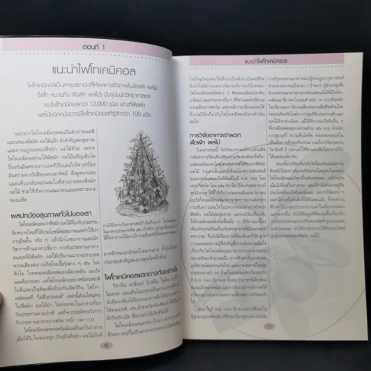 คู่มือดูแลสุขภาพด้วยสุดยอดสารอาหาร - Lyndel Costain รูปที่ 12